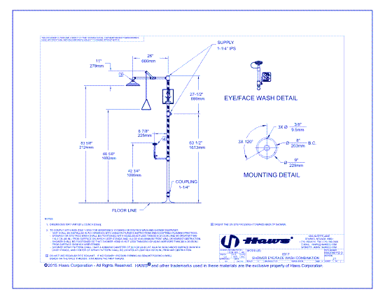 Model 8317: AXION® MSR Emergency Shower and Eye/Face Wash