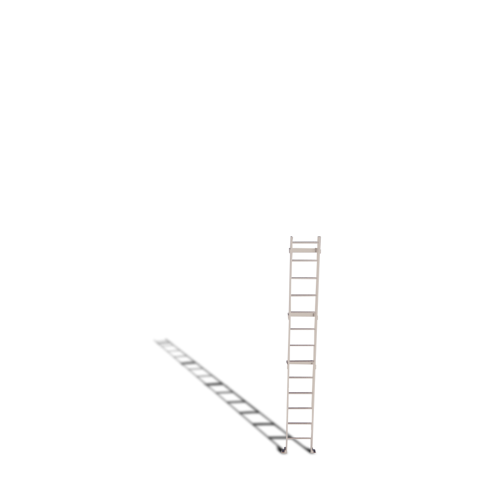 Exterior Roof Access Ladder: 561E Elevator Pit Access