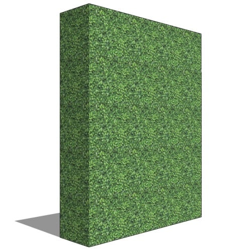 Boxwood Hedge