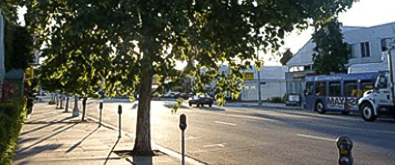 Martin Luther King Jr Blvd