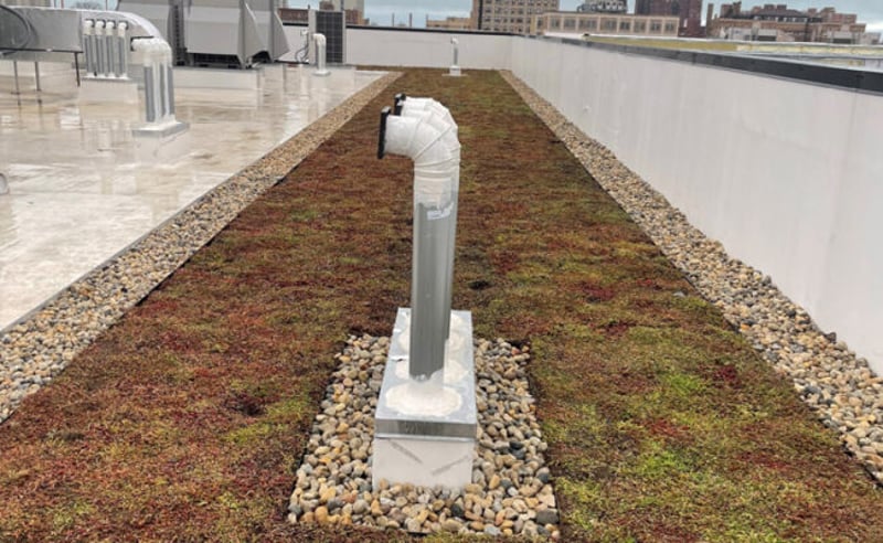 Extensive Green Roof