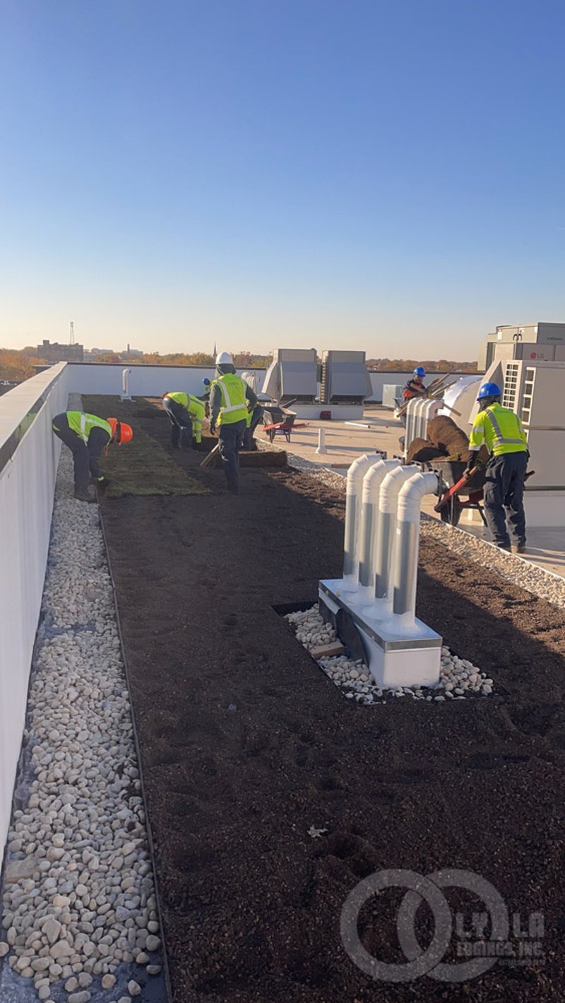 Extensive Green Roof preview 2