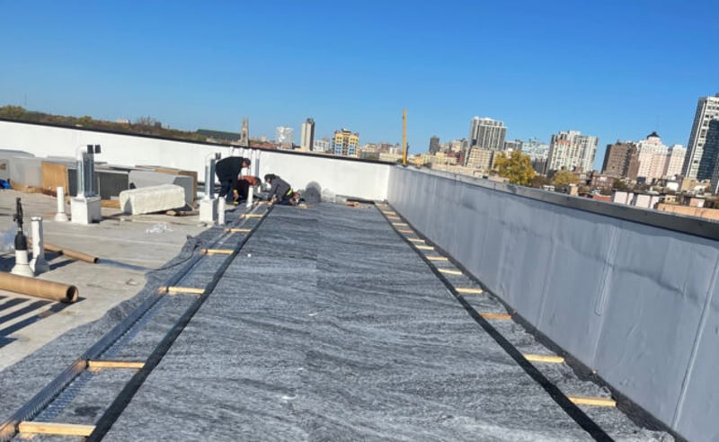Extensive Green Roof preview 4