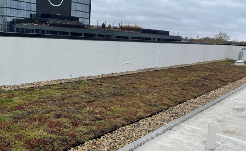 Extensive Green Roof preview 5