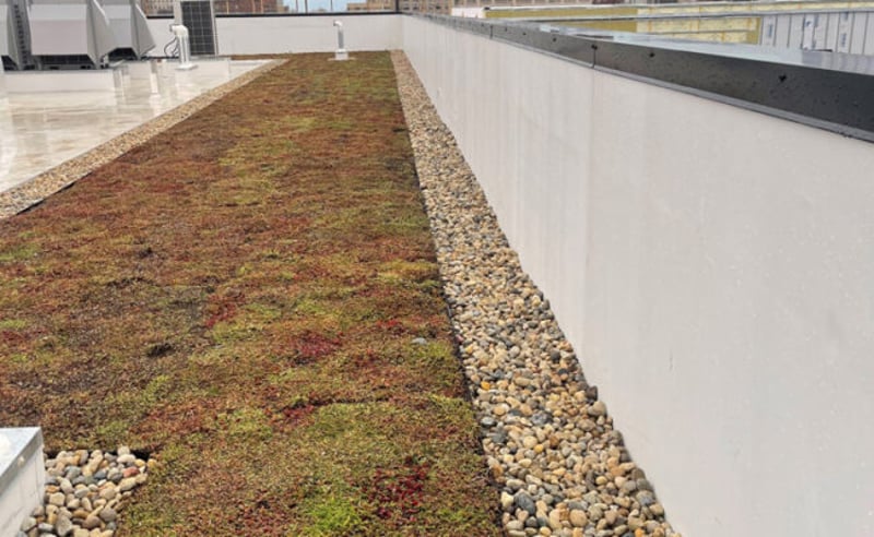 Extensive Green Roof preview 6