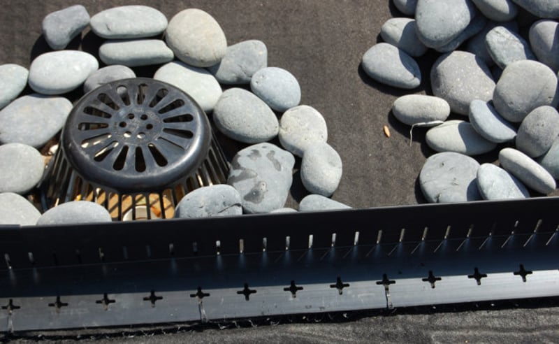 Chicago Rooftop Garden preview 6