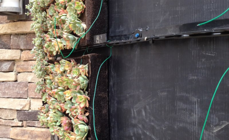 Living Wall preview 5