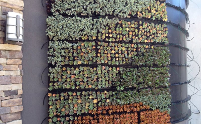 Living Wall preview 6