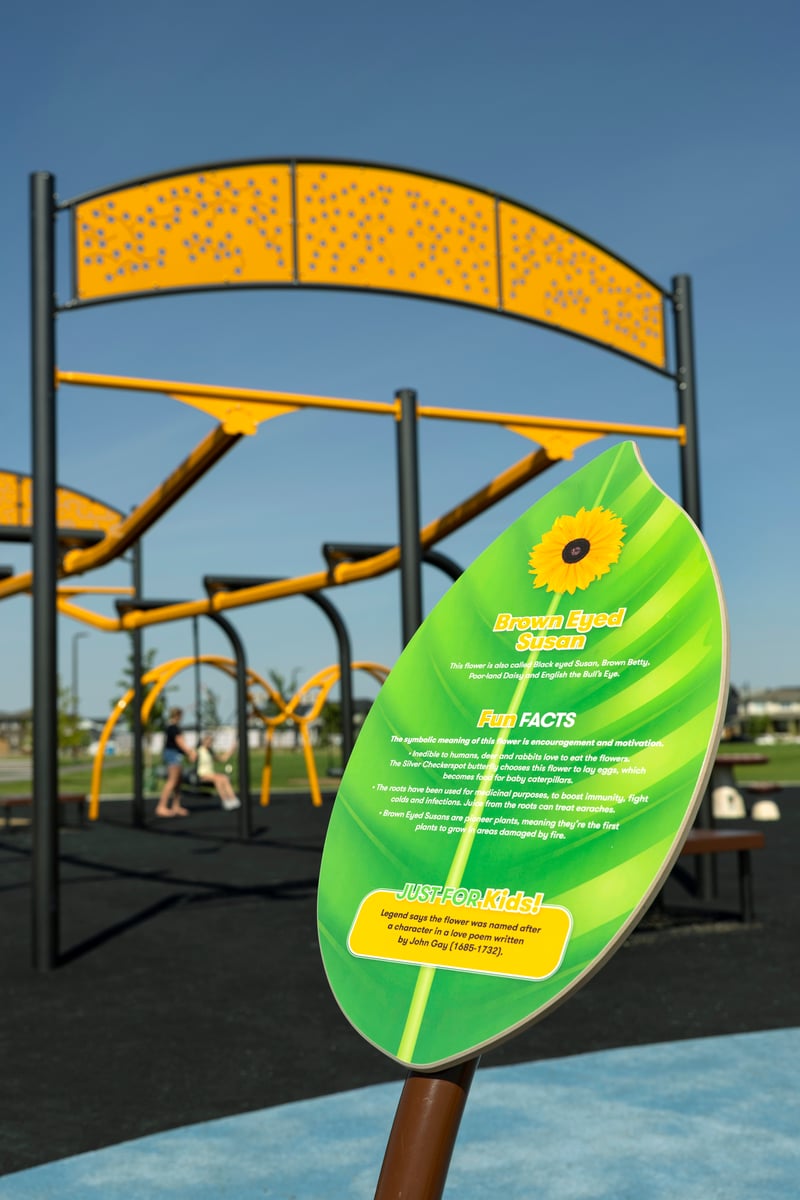 Brighton Core Park preview 13