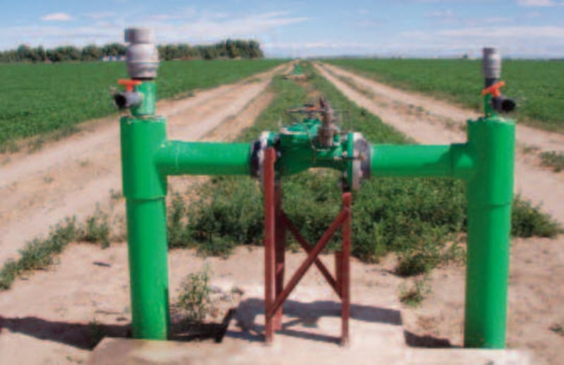 Crop Solutions: Drip Irrigation On Alfalfa preview 3