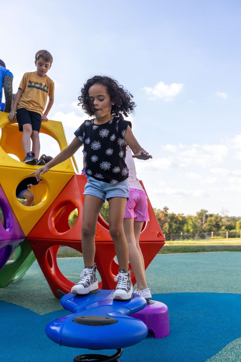 Pinery Orchard Playground preview 4