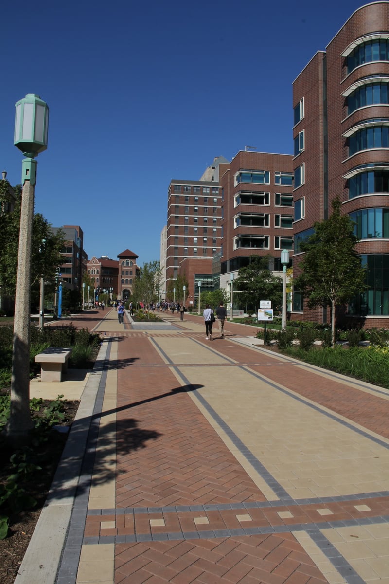 Loyola University St. Ignatius Community Plaza preview 2