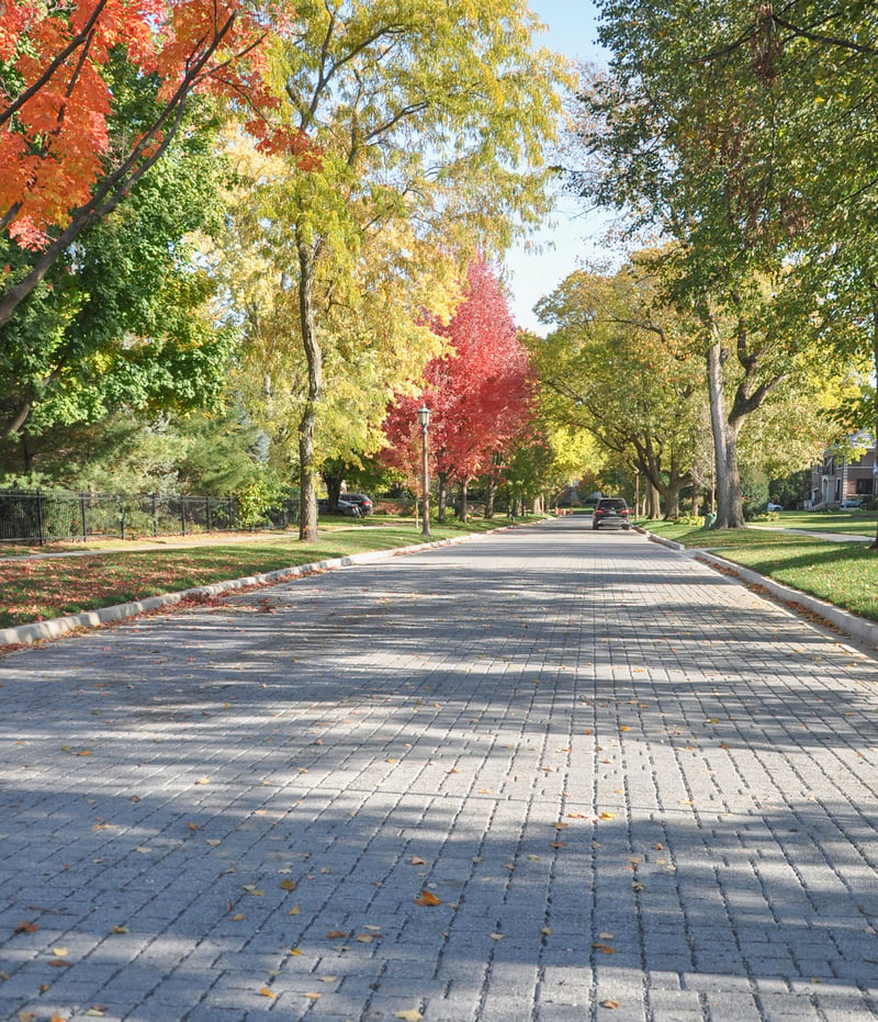 Village of Kenilworth  preview 3
