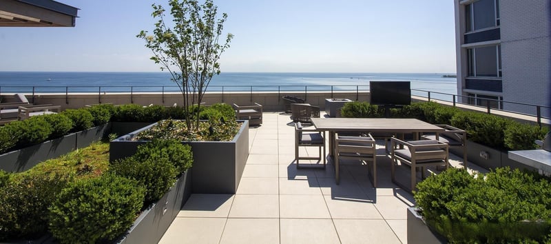 61 E Banks Roof Deck preview 2