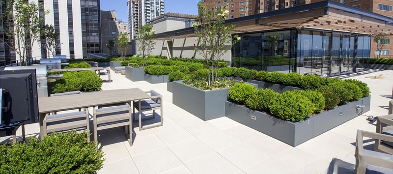 61 E Banks Roof Deck preview 3