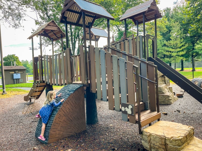 Pine Cliff Park preview 6