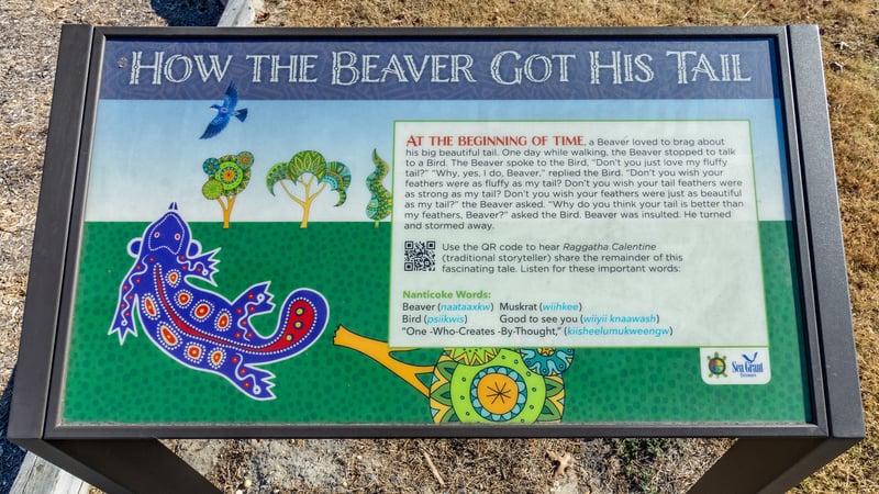 Tidewater Park preview 8