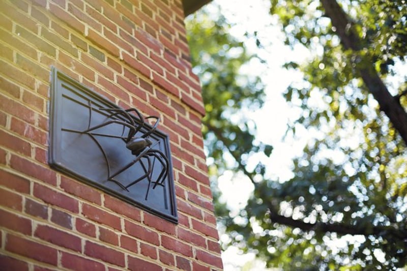 University Of Richmond Football House Spider preview 2