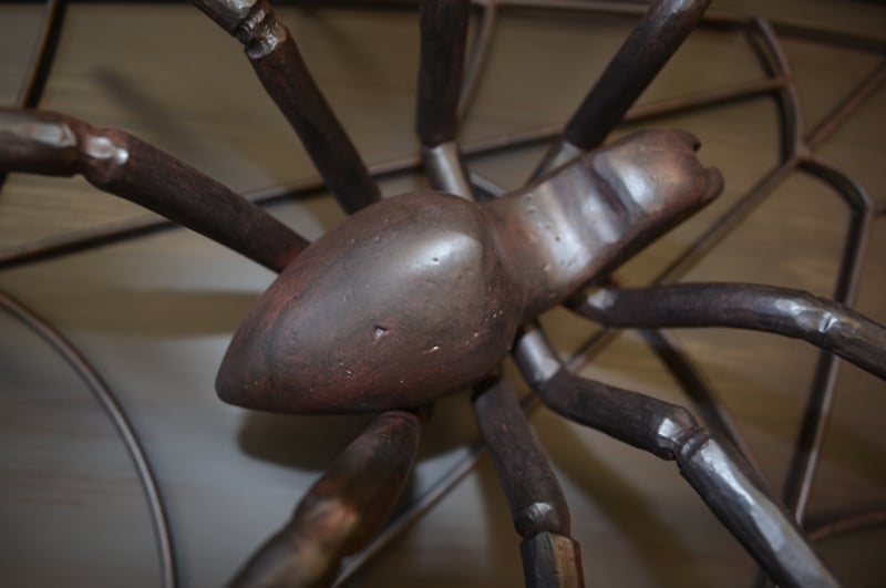 University Of Richmond Football House Spider preview 7