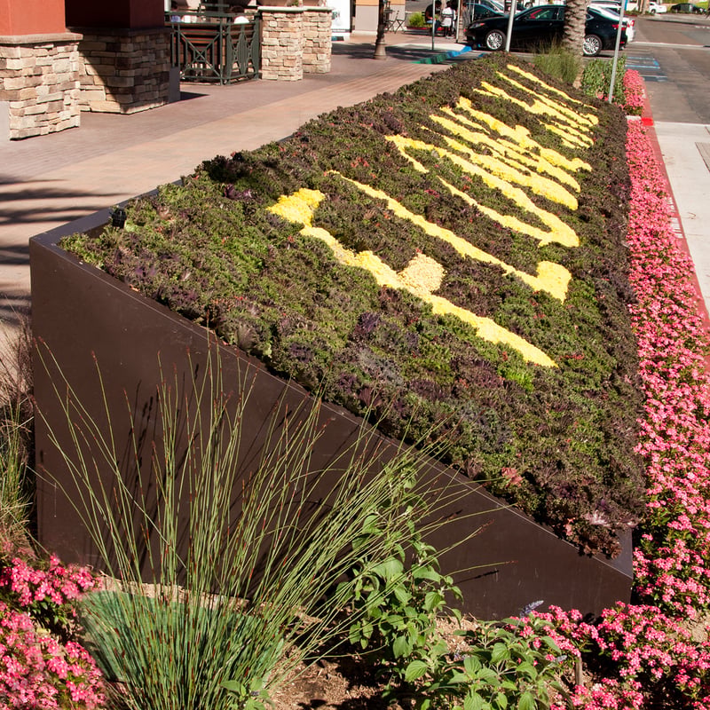 Flower Hill Promenade