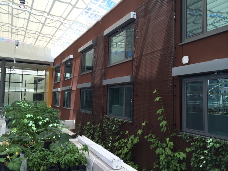 Loyola University preview 2