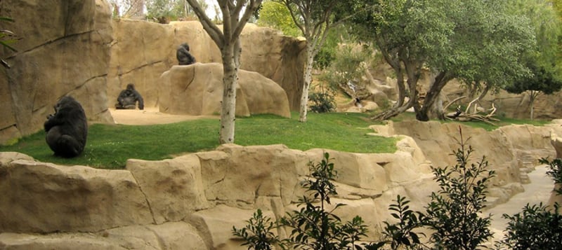 Boulderscape Shortcrete Wall Installation For San Diego Zoo
