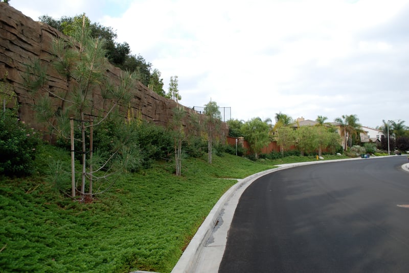 Boulderscape Leucadia Hybrid Wall To Appease Neighborhood preview 5