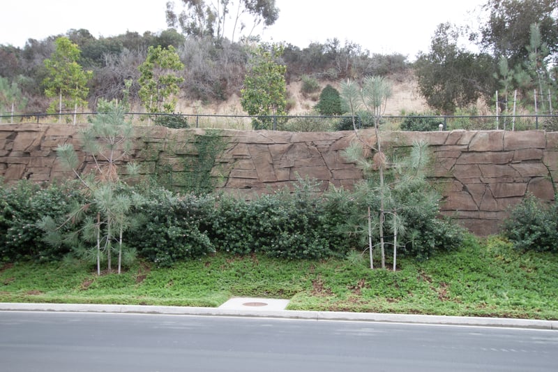 Boulderscape Leucadia Hybrid Wall To Appease Neighborhood preview 6