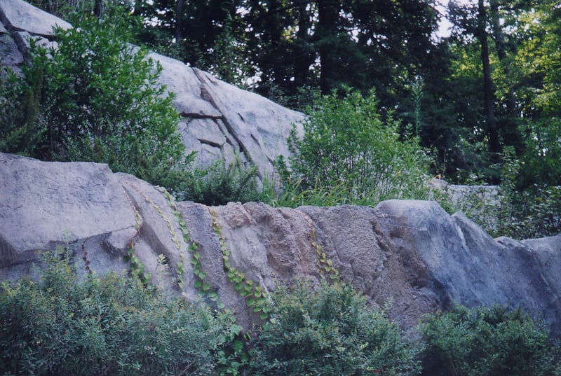 Boulderscape Multi-Tiered Soil Nail Wall Turned Into a Cascading Waterfeature preview 6