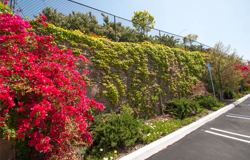 Boulderscape Sculpted Shotcrete Geology Used to Blend In a Multi-Tiered Wall For a Large Community Church   preview 6