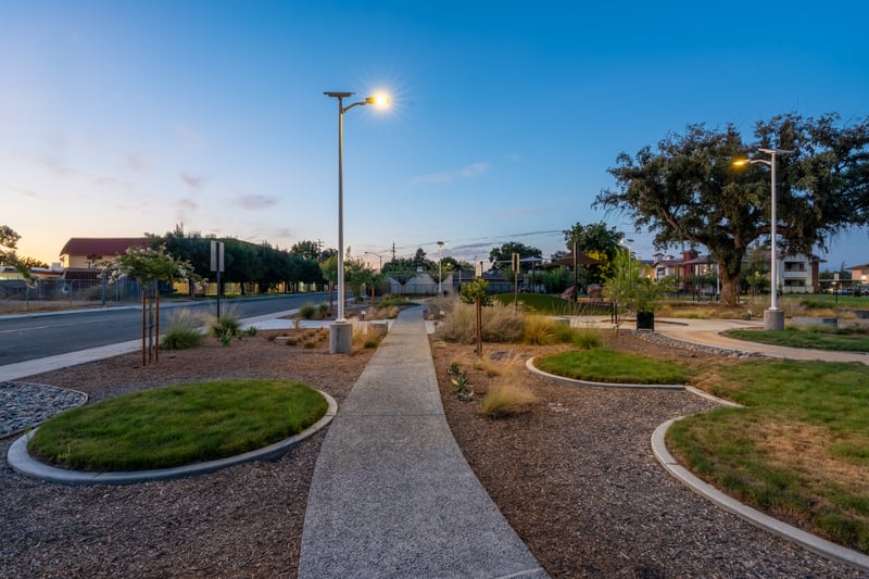 Fig Tree Park