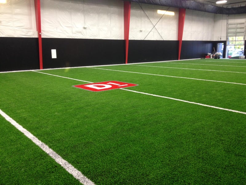 D1 Sports Training & Therapy Facility