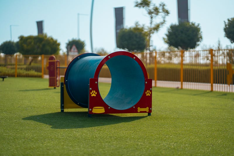 Saadiyat Releam Al Ryum Park