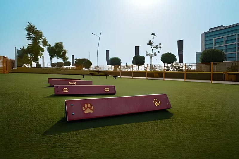 Saadiyat Releam Al Ryum Park preview 4