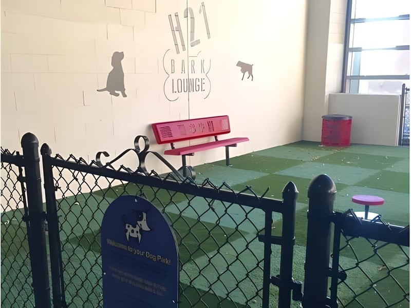 Hartford 21 Bark Lounge preview 2