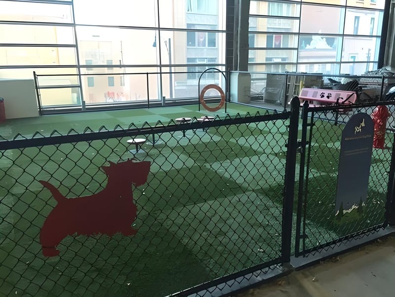 Hartford 21 Bark Lounge preview 3