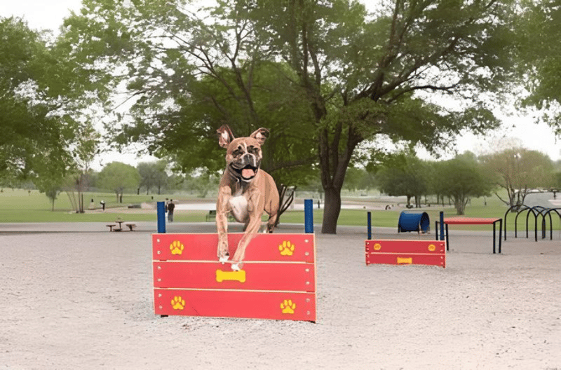Z Bonz Dog Park preview 3