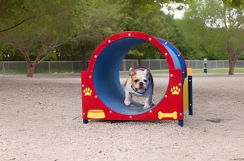 Z Bonz Dog Park preview 5