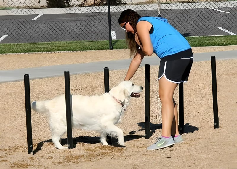 Storey Bark Park