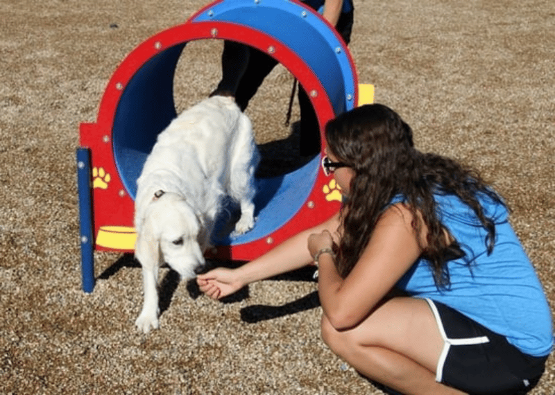 Storey Bark Park preview 4