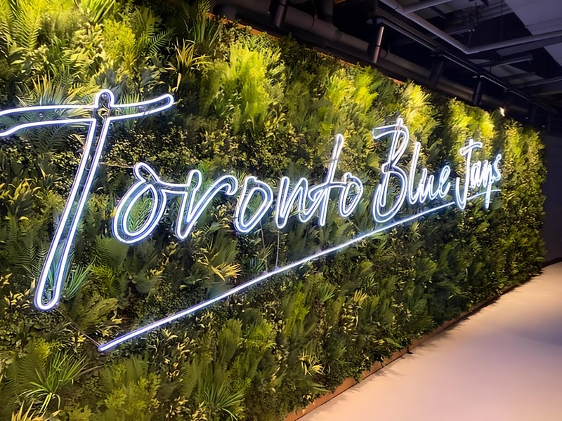 Rogers Centre - Outfield District