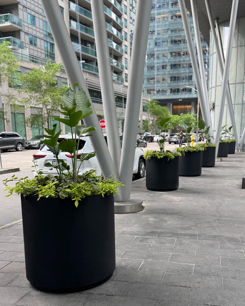 Extra Large Planters for Square preview 5