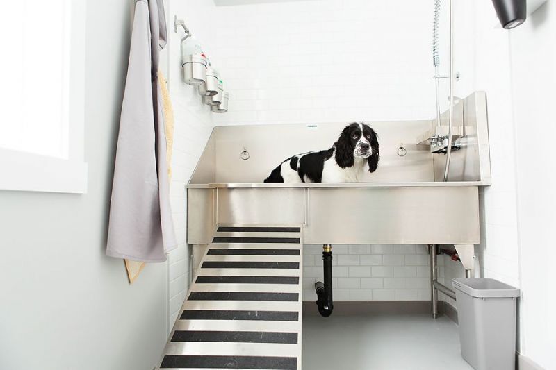 Stainless Steel Dog Grooming Sinks