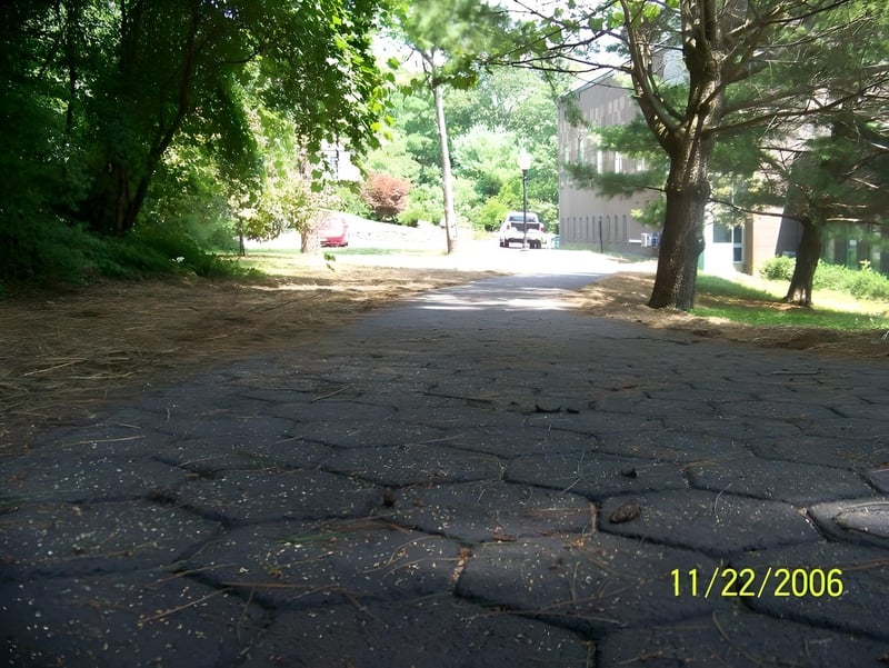 Ontario Pathway preview 5