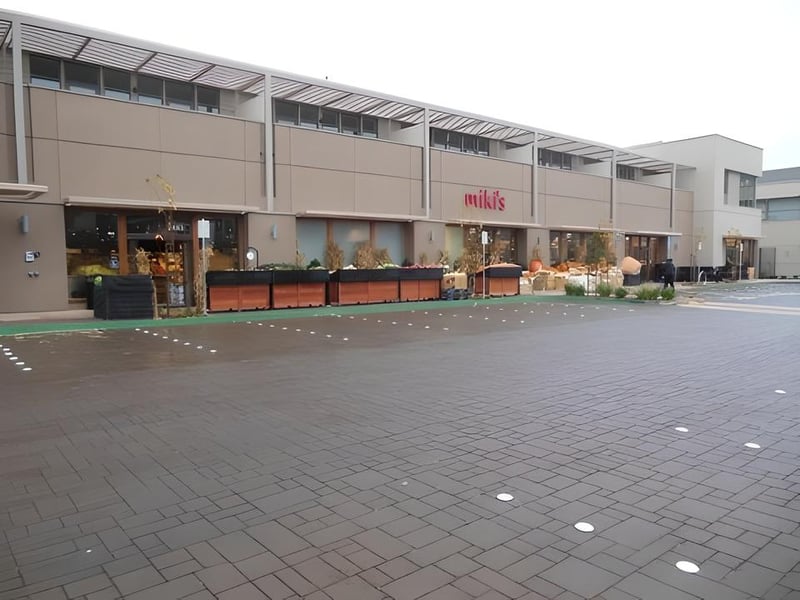Alma Plaza