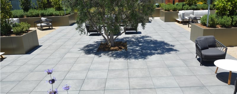Century Plaza Hotel preview 3