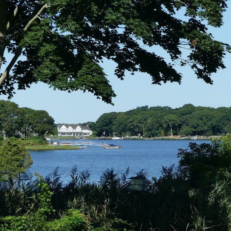 The Hamptons Backyard Reno preview 8