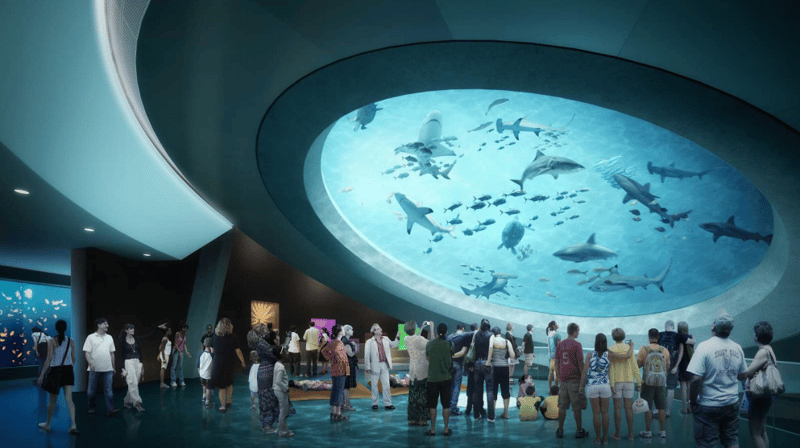 Hycrete Waterproofs Miami Science Museum Aquarium Includes 500,000 Gallon Salt Water Tank preview 4