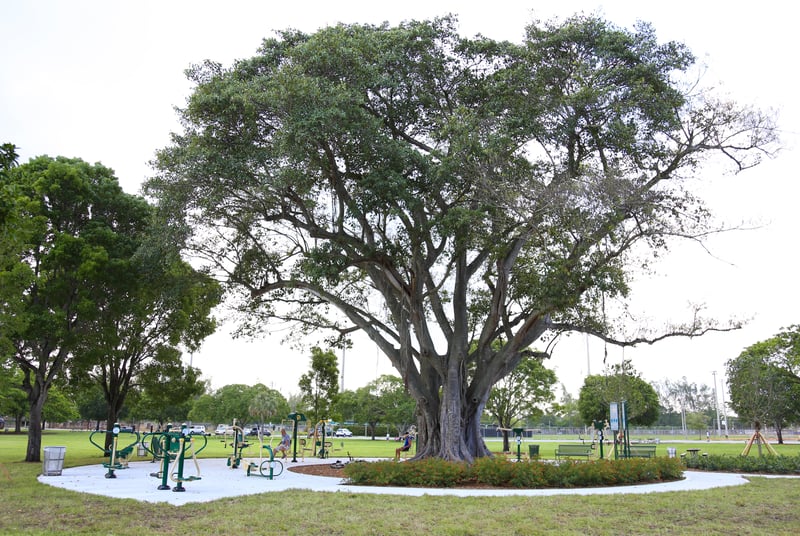 Tropical Park preview 8