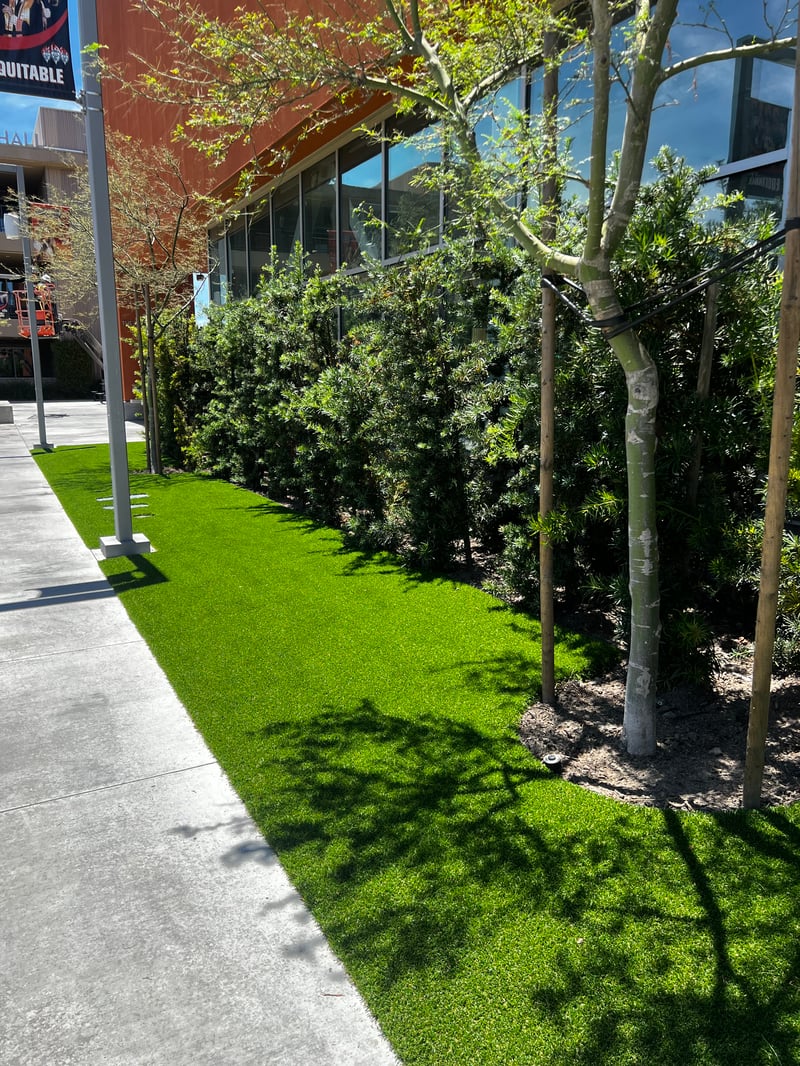 New School Courtyard preview 8